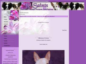 AllSaints rabattkod screenshot