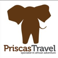 Bild på en Priscas Travel rabattkod